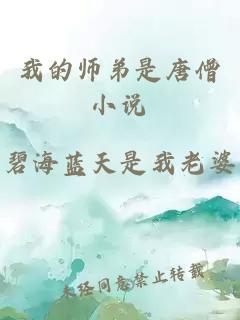 我的師弟是唐僧小說