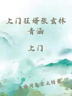 上門(mén)狂婿張玄林青涵