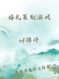 婚禮策劃游戲