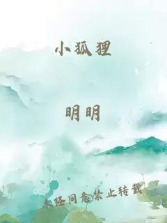 小狐貍