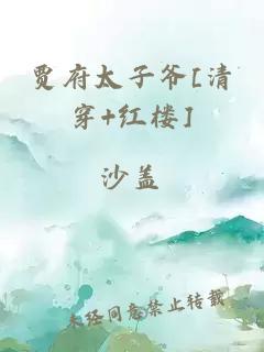 賈府太子爺[清穿+紅樓]