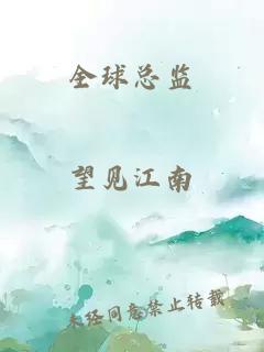 全球總監(jiān)