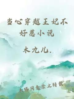 當(dāng)心穿越王妃不好惹小說(shuō)