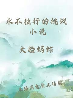 永不獨行的挑戰(zhàn) 小說