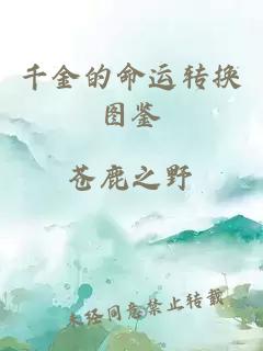 千金的命運(yùn)轉(zhuǎn)換圖鑒