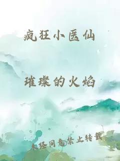 瘋狂小醫(yī)仙