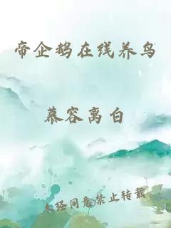 帝企鵝在線養(yǎng)鳥