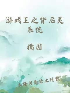 游戲王之背后靈系統(tǒng)